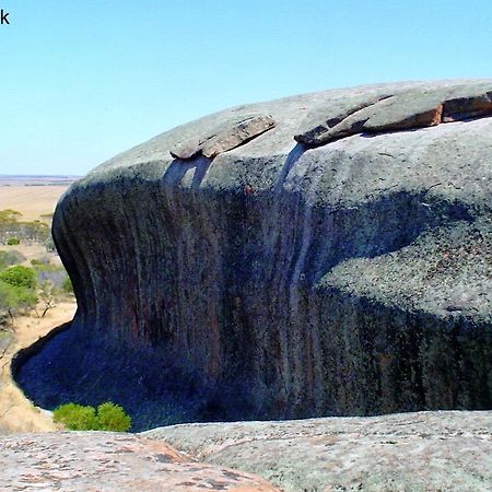 Wudinna Farm View Екстериор снимка