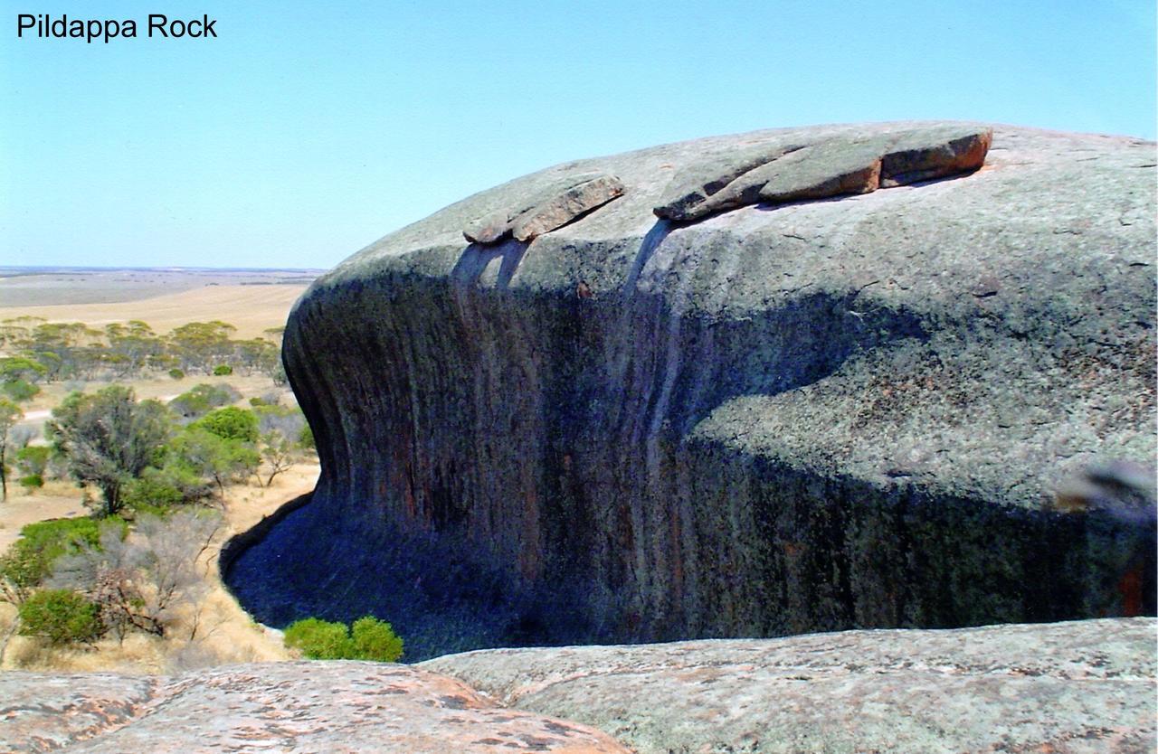 Wudinna Farm View Екстериор снимка
